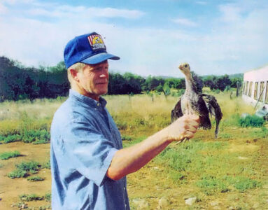 Raising a Holiday Turkey Image